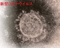corona020.jpg